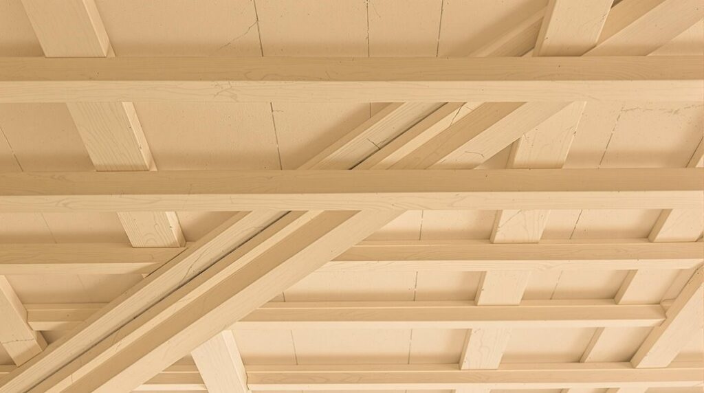 lath and plaster restoration options